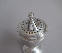 A fine George III Pepper Caster made in London in 1800 by John Robins