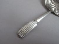 A rare George III "Raying Shell" Caddy Spoon made in Birmingham in 1811 by William Pugh