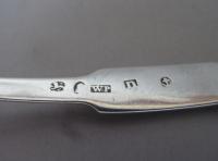 A rare George III "Raying Shell" Caddy Spoon made in Birmingham in 1811 by William Pugh