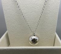 A Sterling Silver Necklace with a Charm