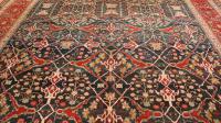 Agra Carpet 