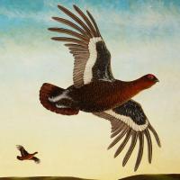 A Red Grouse on the Wind