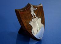 Silver and Oak Boxing Trophy
