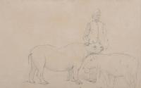 Young Arabian Rhinoceros, William Strutt (1827-1915)