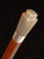 Art Deco agate square sectional snakewood cane_a