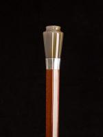 Art Deco agate square sectional snakewood cane_b