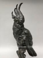 Bronze cockatoo, by Buschelberger