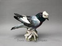 German Meissen Porcelain Pigeon