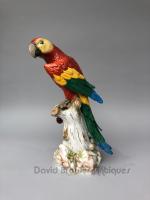 Meissen porcelain Parrot
