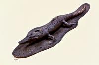 A Taxidermy Nile Crocodile, Circa 1932