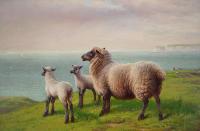 Landscape oil painting of sheep on a cliff top by Charles Jones