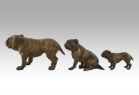 Austrian cold painted bronze sculptures of bulldogs