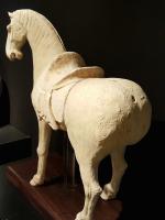 A Chinese Pottery Model of a Prancing Horse, Tang Dynasty