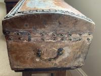 An 18th century pony skin domed rectangular document box