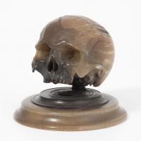 Important & anatomically precise horn carving of a skull. German, 17th century