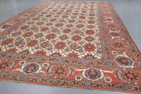 Rare Veramin carpet
