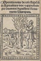 Agricultural secrets of the sixteenth century