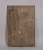 S/4422 Antique 16th Century Chip Carved Oak Panel