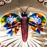 Fine Baccarat Butterfly