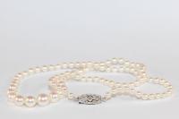 Edwardian Graduated Pearls, Diamond clasp c.1920