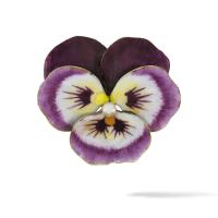 An Antique Enamel and Pearl Pansy Brooch, Circa 1900
