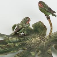 Vienna Bronze of Fig parrots