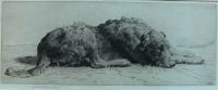 Herbert Dicksee dog Deerhound Irish Wolfhound etching