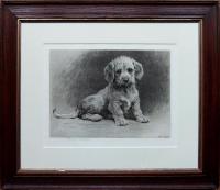 Herbert Dicksee Dandie Dinmont terrier dog picture