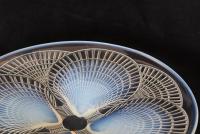 Rene Lalique Coquilles No 2 opalescent glass plate