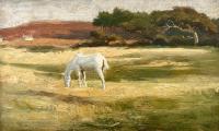 Arthur Lemon - New Forest Pony