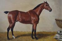 Sporting horse portrait oil painting of a bay hunter in a stable by Edward Benjamin Herberte