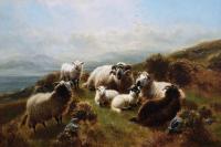 Highland landscape oil painting of sheep near Loch Awe by William Watson Jnr