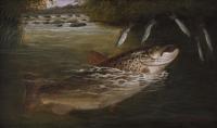 Pair of sporting angling oil paintings of a trout & pike by Arthur Roland Knight