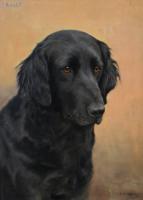 Dog portrait oil painting of a black retriever by Florence Mabel Hollams