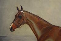 Sporting horse portrait oil painting of a bay racehorse in a stable by William Albert Clark