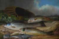 Sporting oil painting of salmon and trout by John Bucknell Russell