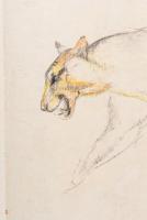 John Skeaping R.A.1901-1980 - Lioness