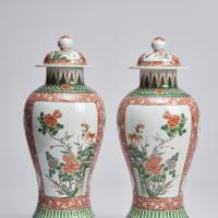 An elegant pair of Chinese, famille verte covered vases (19th Century)