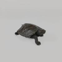 Japanese bronze turtle signed Nogami Ryuki, Meiji Period