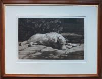 Herbert Dicksee dog print engraving sporting