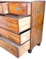 Camphor Wood Military Campaign Chest Of Drawers