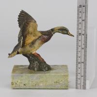 Cold-Painted Vienna bronze entitled "Flying Duck" - Circa 1900