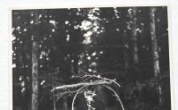 Original photograph of model in the woods by Bruce Weber 3