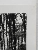 Original photograph of model in the woods by Bruce Weber 4