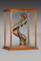 H. Wekken (German, active mid 19th Century) - Architectural Helical Staircase Model in Original Glazed Case