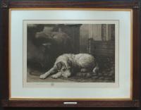 Herbert Dicksee etching terrier sporting dog picture