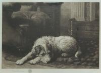 Herbert Dicksee etching terrier sporting dog picture