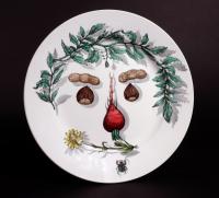 Piero Fornasetti Pottery Arcimboldesca-Motif Vegetable Face Plates