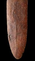 Western Australian Aboriginal Shield