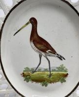 Staffordshire pottery ornithological dish Red Godwit, circa 1810